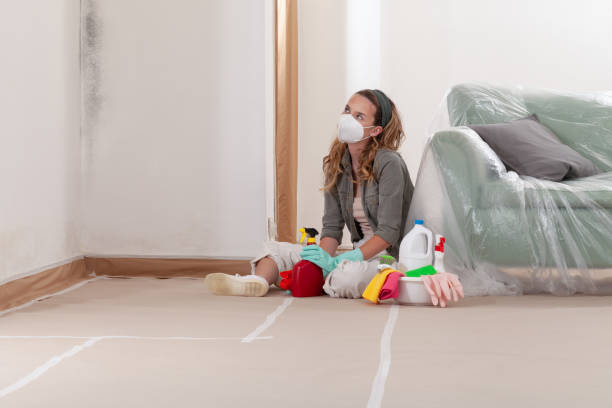 Reliable Mold Remediation contractor in Pennsauken, NJ by Cheap Mold Removal